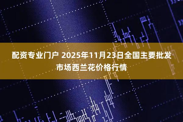 配资专业门户 2025年11月23日全国主要批发市场西兰花价格行情