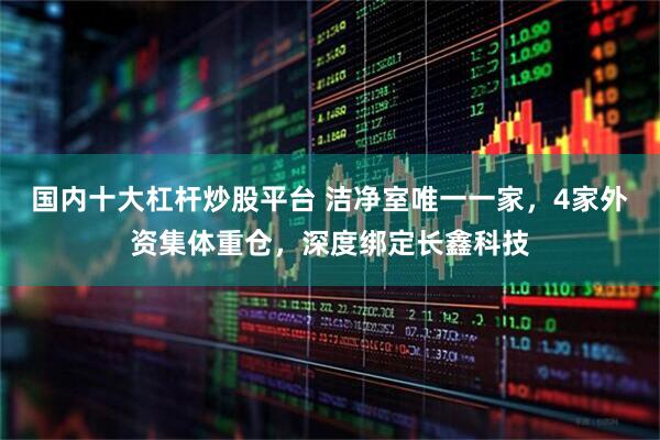 国内十大杠杆炒股平台 洁净室唯一一家,4家外资集体重仓,深度绑定长鑫科技